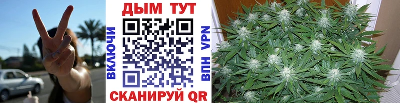 Где найти наркотики Кубинка Псилоцибиновые грибы  Бошки Шишки  Мефедрон  Гашиш  АМФЕТАМИН 