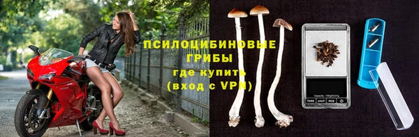 винт Арсеньев